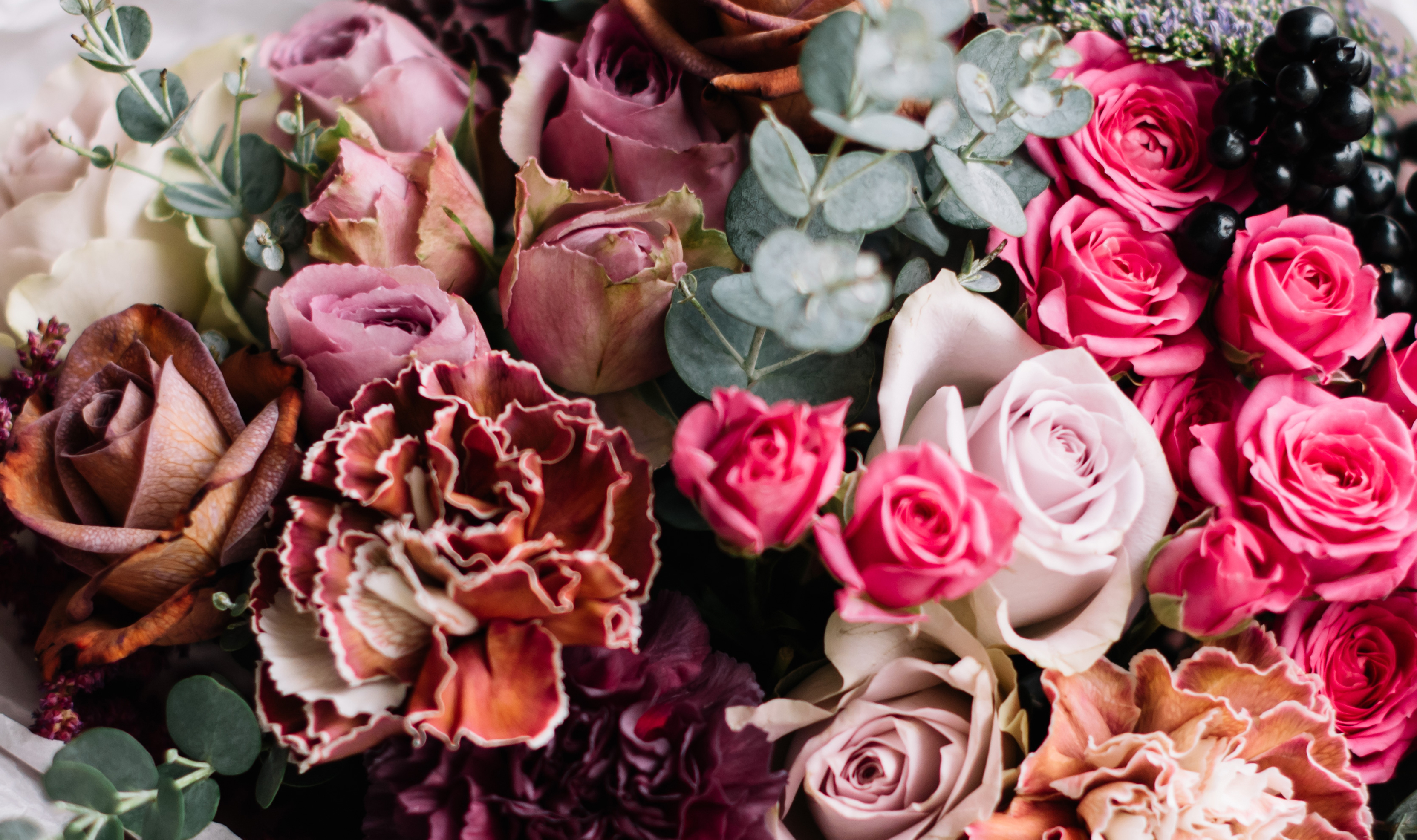 /Websites/1375/Images/upload/image/Home_New_4.jpg?ver=8513